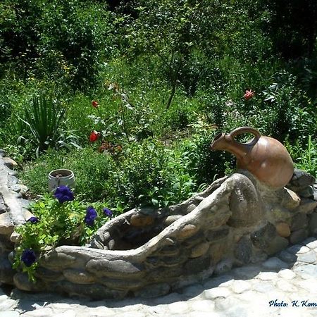 Nina B&B Dilijan Bagian luar foto